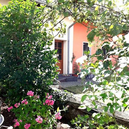 Ferienwohnung Adams Hinterweiler Esterno foto