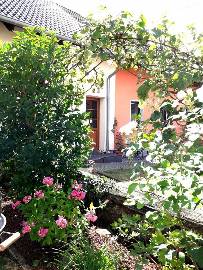 Ferienwohnung Adams Hinterweiler Esterno foto
